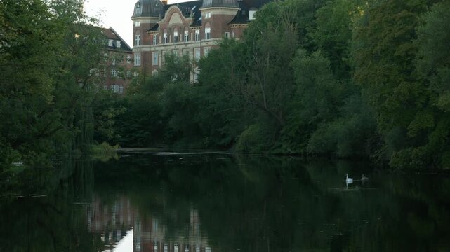Swans swim across a calm pond in an urban park in Copenhagen. An ornate historic brick building rises behind lush green trees. Peaceful city nature oasis offers quiet outdoor relaxation.