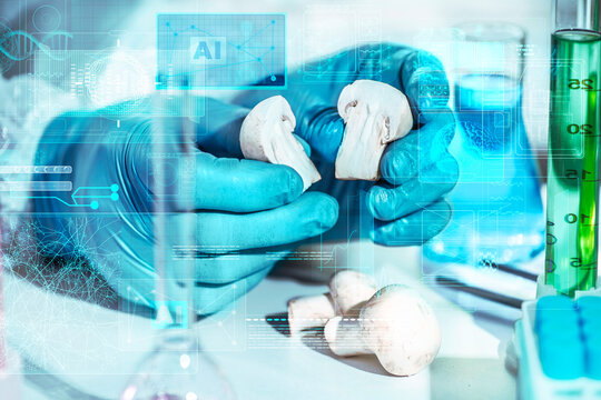AI mushroom lab inspection concept: scientific testing with reagents for food quality control, GMO detection and artificially grown checks.