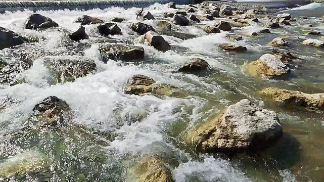 Shallow Stream Flowing Between Sunlit Rocks and Stones. High-angle footage of clear shallow water moving between scattered rocks and stones, creating small ripples, gentle currents and patches.