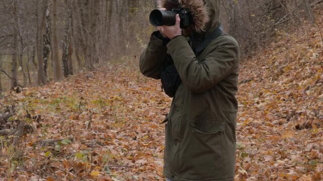 Man in olive parka and black cap walks on sloping deciduous woodland covered with brown and orange maple leaves, stops, and lifts camera toward eye for focused nature shooting in overcast light