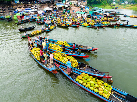 Rangamati, Bangladesh - 31 May 2025: Aerial view of a bustling floating market with wooden boats loaded with jackfruit, where traders and workers transport produce on the river.