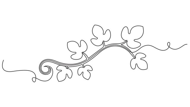 Animated self drawing of continuous line draw of beauty fresh bougainville for home wallpaper decoration poster art, Frame with intricate lines and flowers, animated self drawing of single continuous 