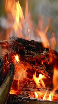 Close-up View of Glowing Charcoal and Campfire Flames. Seamless video loop of a close-up campfire showing glowing charcoal and flickering flames with natural sound, designed for relaxation, ASMR backg
