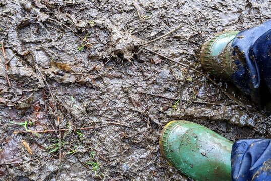 muddy puddles