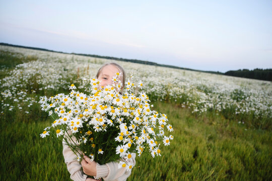 A girl hides her face behind a large bouquet of camomile in a field