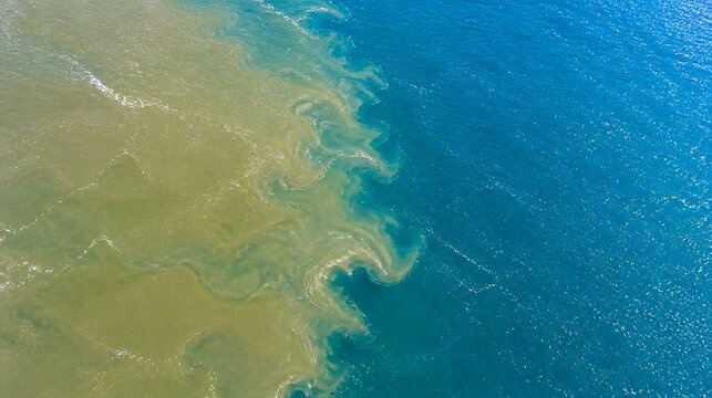 River delta confluence aerial view of muddy water meeting blue ocean