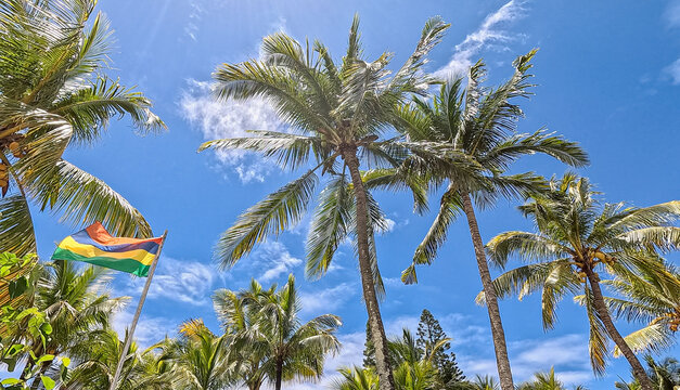 View of the national flag of Mauritius waving against a backdrop of lush green palm trees under a bright blue sky in Trou-aux-Biches, Pamplemousses District, Mauritius.
