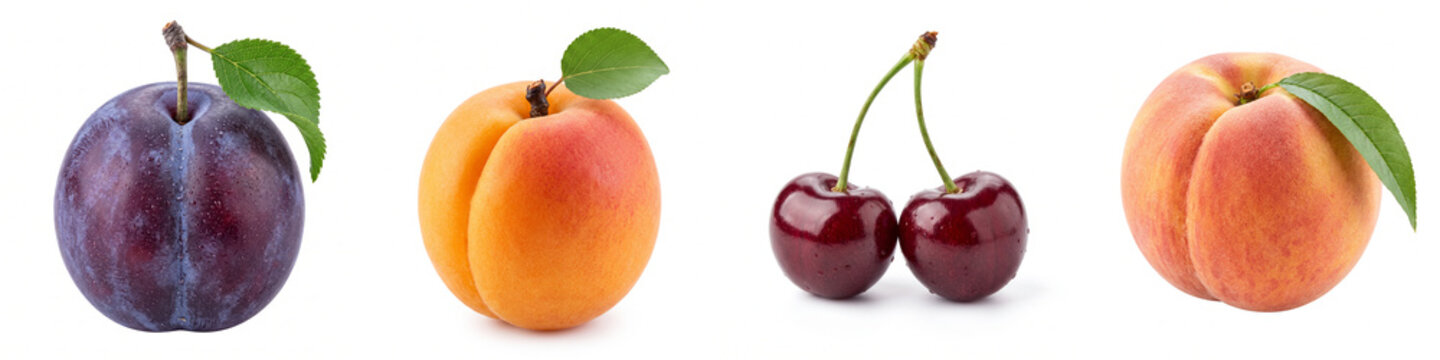 Stone fruit assortment isolated on white, featuring ripe plum, apricot, cherries, and peach with green leaves for healthy organic nutrition, summer food diet, and culinary recipe packaging