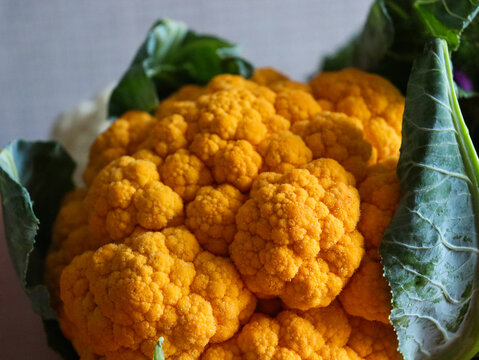 Bright orange cauliflower close-up on a kitchen counter