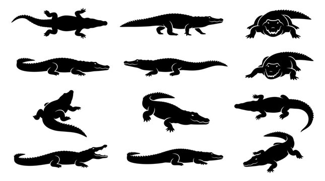 Set of black crocodile and alligator silhouettes in various poses and angles.