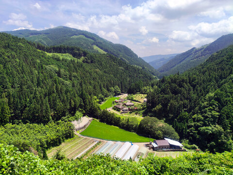 Secluded Mountain Valley Settlement and Terraced Agricultural Fields near Iwayaji (the 45th) on Shikoku Henro Pilgrimage, Ehime 2026