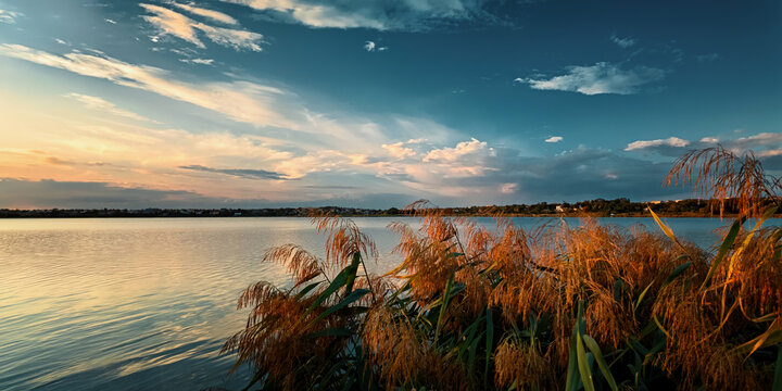 Golden Reeds by Calm Lake at Sunset
