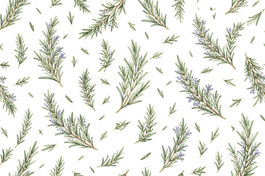 Watercolor rosemary branches and green sprigs seamless pattern