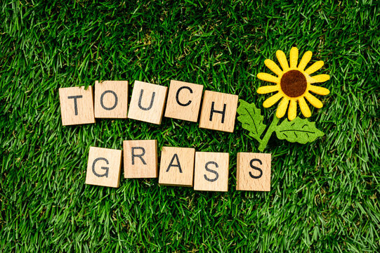 Touch Grass sign on grass
