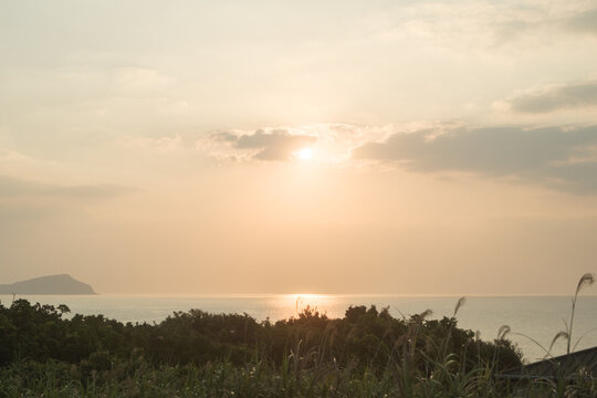 Hazy golden sunset over the sea with an island silhouette, seen beyond pampas grass, Amami Oshima, Japan