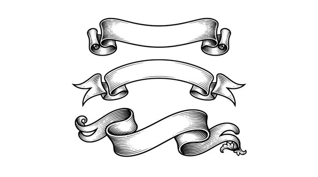 Vintage ribbon banners set, hand drawn engraving style scrolls, 3 antique parchment vector elements for labels and titles