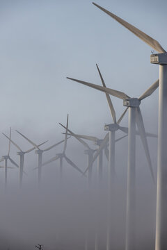 Wind farm emerging from the fog at dusk