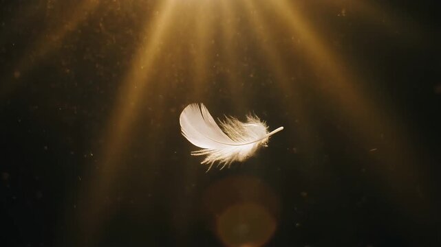 White feather falling slowly with golden light rays ethereal spiritual background