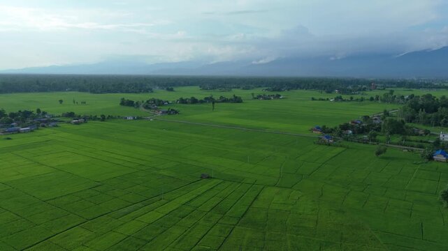 Wide aerial perspective of vast green agricultural fields and rural settlements backed by distant hazy mountains in Nepal
