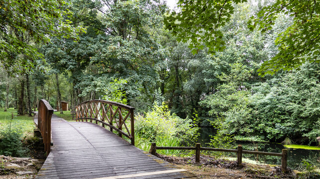 Curved wooden bridge over river in lush natural park