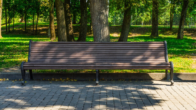 Long wooden bench standing on paved sidewalk in a sunny green summer park
