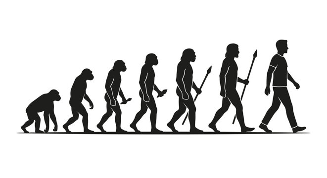 Evolution of man silhouette  