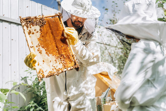 Mature man and boy in protective suits inspect a honeycomb outdoors