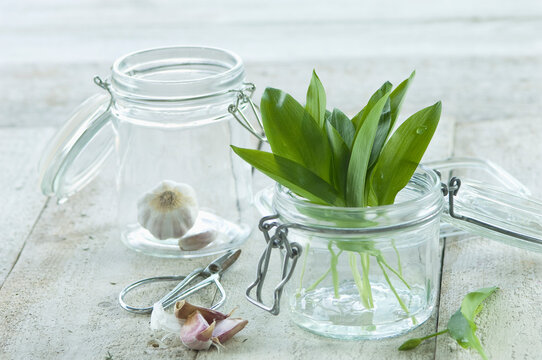 Fresh ramson