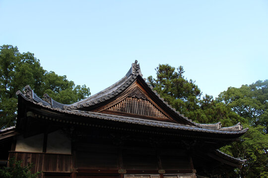 Traditional Timber Gable Roof Structure and Carvings at Sekkeiji (the 33rd) on Shikoku Henro Pilgrimage, Kochi 2026