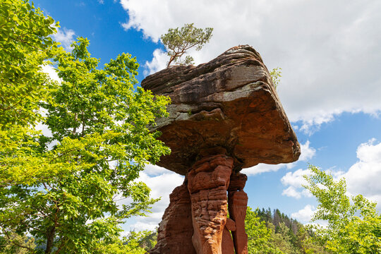 The Palatinate Forest surrounds the sandstone rock Teufelstisch