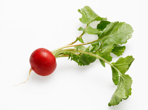 Fresh red radish with green leaf on white background