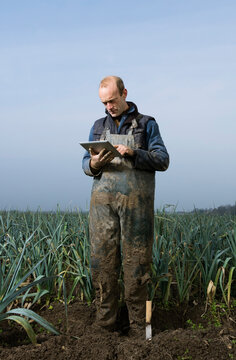 Farmer using tablet in muddy leek field outdoors in the Netherlands