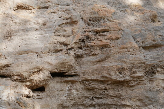 Eroded calcareous tufa rock surface with porous natural texture