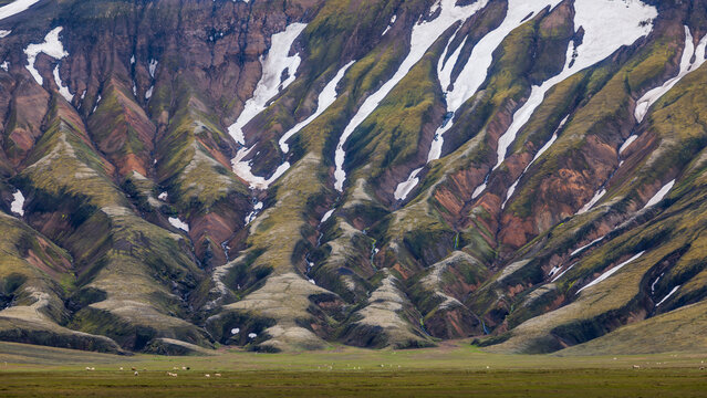 Snow traces ravines on a mossy rhyolite mountain in Iceland