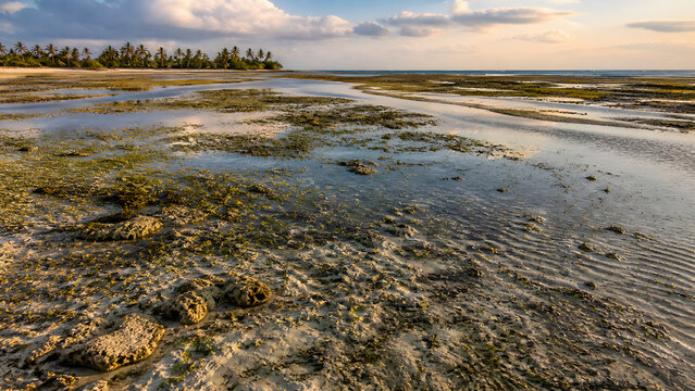 Tropical tidal flats and shallow pools at sunset