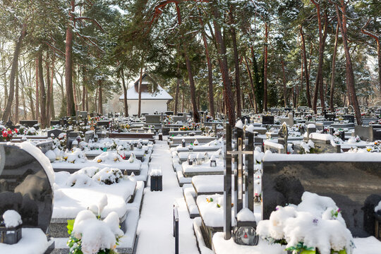 Wide view of a cemetery blanketed in fresh snow, with rows of graves, memorial lanterns and tall Scots pine trees, Pinus sylvestris. Peaceful winter scene for remembrance, burial tradition, mourning, 