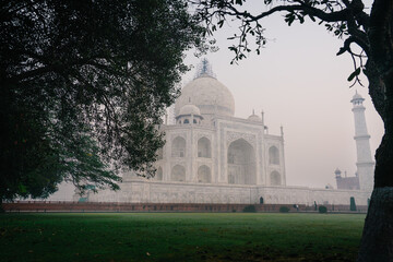 Taj Mahal framed by trees above a green lawn in Agra © Patrick.W