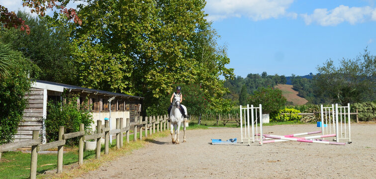 Beautiful young girl on a white horse at an equestrian farm