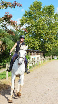 Beautiful young girl on a white horse at an equestrian farm
