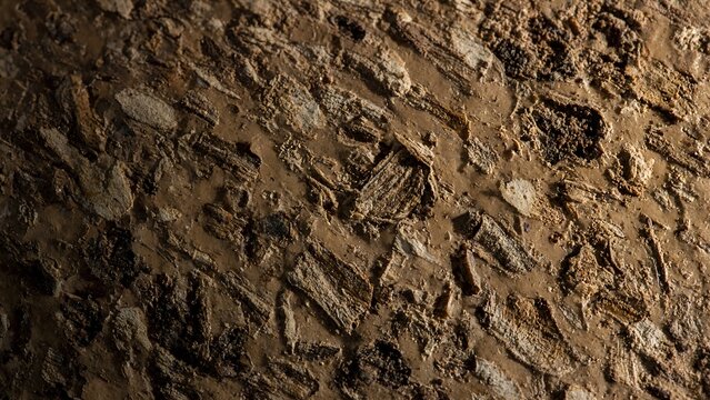 Cork Rubber Hybrid Composite Macro with Dark Brown Natural Fragments and Rough Texture