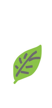 Green leaf illustration isolated on white background