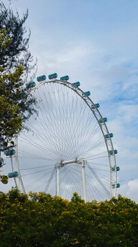 ferris wheel in the park
