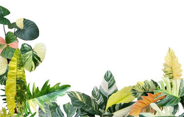 Tropical Green Leaf Frame Nature Border with Fresh Foliage, Botanical Plants, Branches and Floral Elements for Garden Decoration, Natural Design and Spring or Summer Themes © keodom
