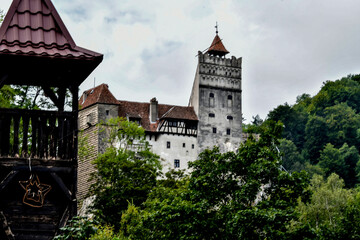 old castle in the city Bran © Darius
