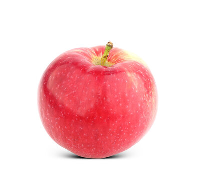 large, colorful apple