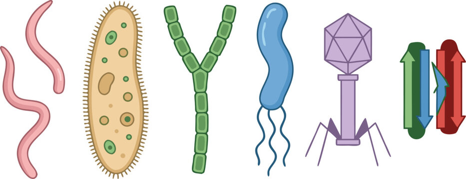 Microscopic Organisms Vector Set Featuring Paramecium Bacteriophage Virus Algae Spirillum and Helminth Worm Cells for Science Biology and Medical Education