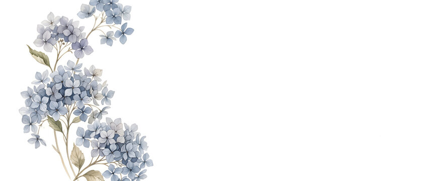 左端にドライアジサイが柔らかく集まる背景 / Dried Hydrangea Edge Background