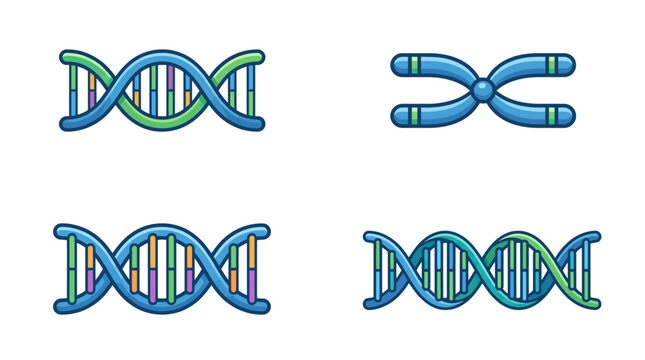 DNA Icons set. DNA Structure molecule icon. Vector molecule. Chromosome icon. isolated white