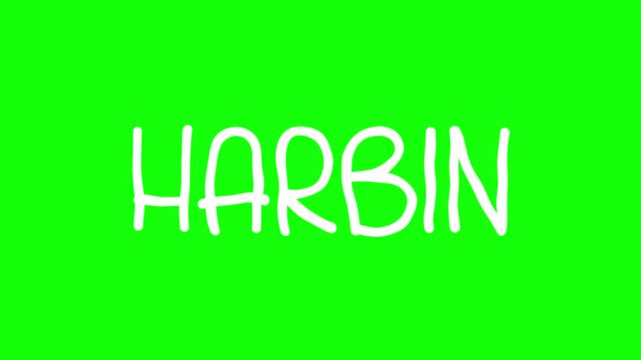 Harbin Hand Drawn Scribble Overlay with Green Background