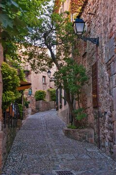 Narrow cobblestone street in a historic European village